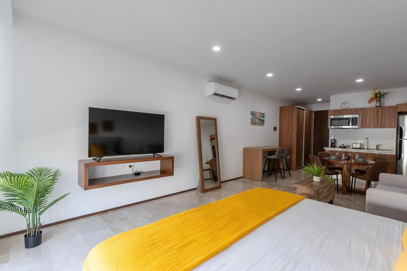 Menesse Playa Del Carmen Lejlighed